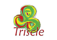 Logo Design | Triscle Inc
