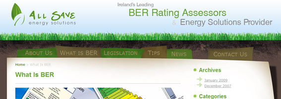 New Website Launch | All Save Energy Solutions | Ireland Web Design